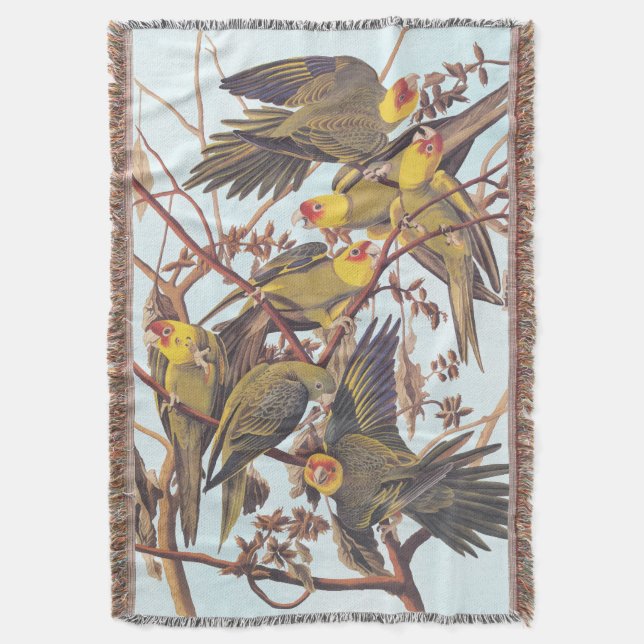 Cobertor Bloqueio de Periquito da Carolina de Audubon (Frente Vertical)
