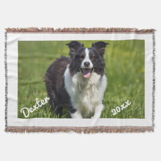 Cobertor Borda de Foto de Animal de Estimação Border Collie