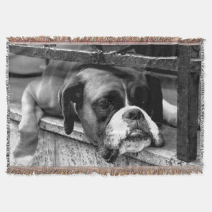 Cobertor Boxer Dog On Windowsill tbcn