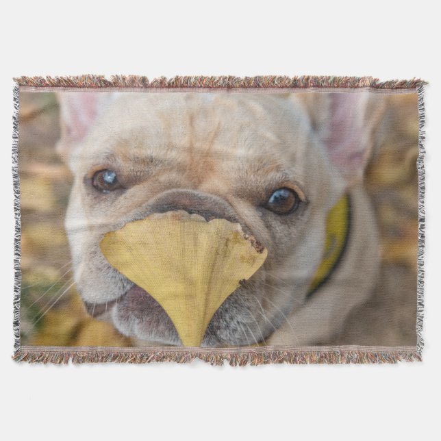 Cobertor Bulldog Francês Adorável (Frente)