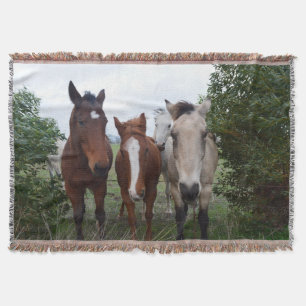 Cobertor Cabelo Alegre, Quatro Amigos Cavalos,