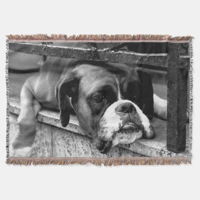 Cobertor Cachorro-Boxer no Windowsill tbcnm (Frente)