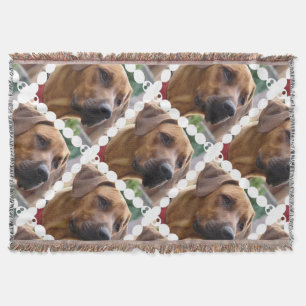 Cobertor Cão de Rhodesian Ridgeback