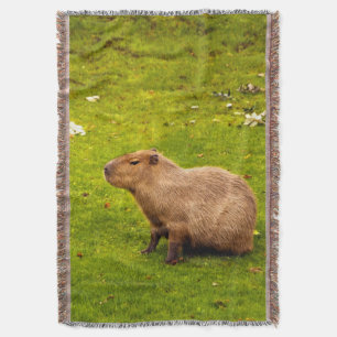 Cobertor Capybara
