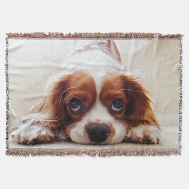 Cobertor Cavalier King Charles Spaniel (Frente)