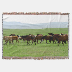 Cobertor Cavalos na Praga - Fotografia Paisagem