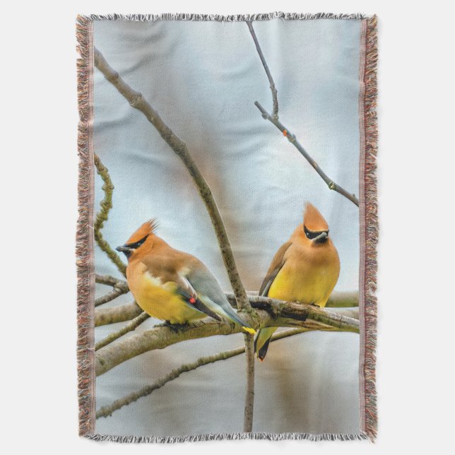 Cobertor Cedar Waxwing - Foto Original (Frente Vertical)