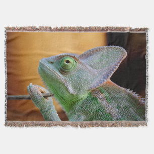 Cobertor Chameleon velado