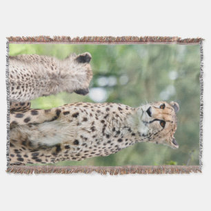 Cobertor Cheetah 004