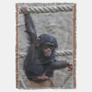 Cobertor Chimpanzé 017