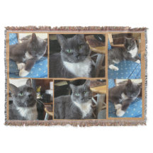 "Clássico Pet Photo Blanket"