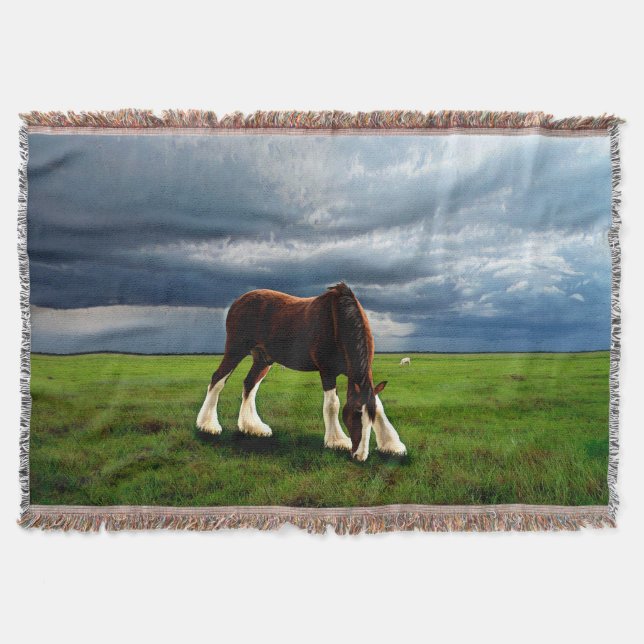 Cobertor Clydesdale Storm (Frente)