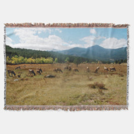 Cobertor Cobertura de lente de ângulo largo