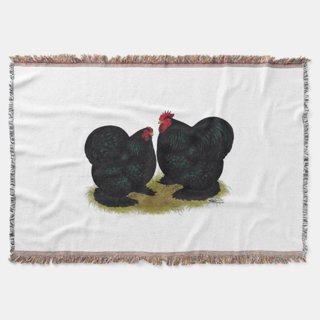 Cobertor Cochins Black Bantam Pair (Frente)