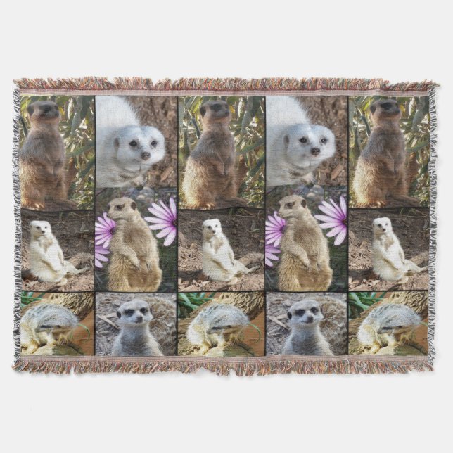 Cobertor Colagem de Fotografias Meerkat Cobertura De Lâmpad (Frente)