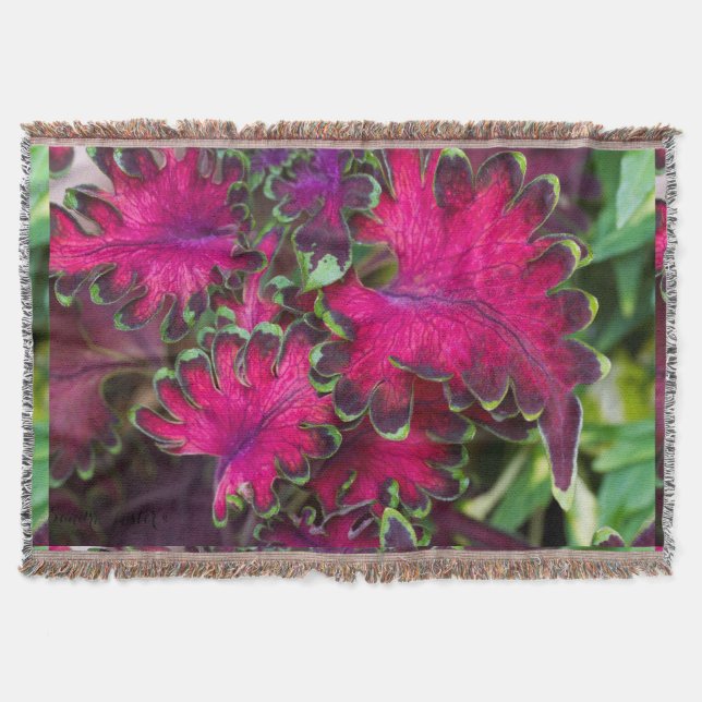 Cobertor Coleus Macro (Frente)