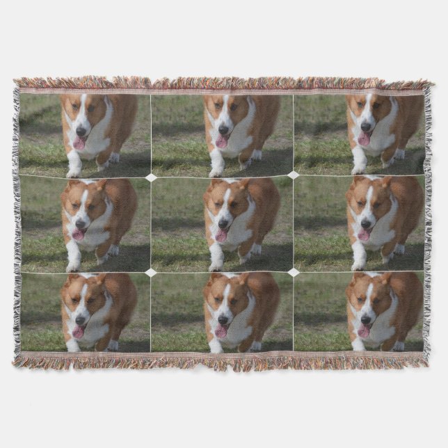 Cobertor Corgi surpreendente (Frente)