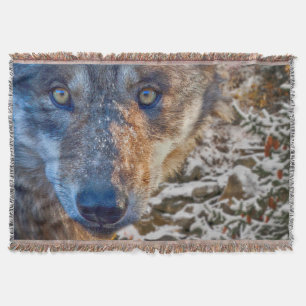 Cobertor CORREDOR DO WOLF WINTER DA cinza