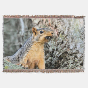 Cobertor Craqueador de cicada