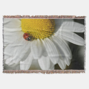 Cobertor Daisy E Um Ladybug