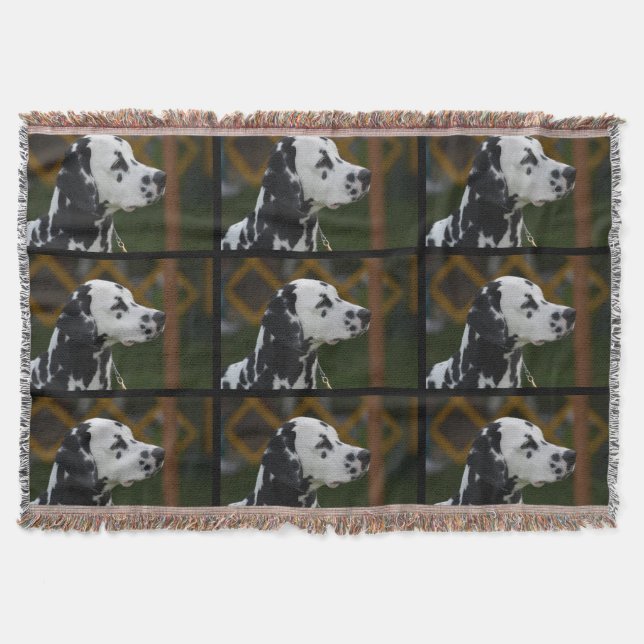 Cobertor Dalmatian manchado doce (Frente)