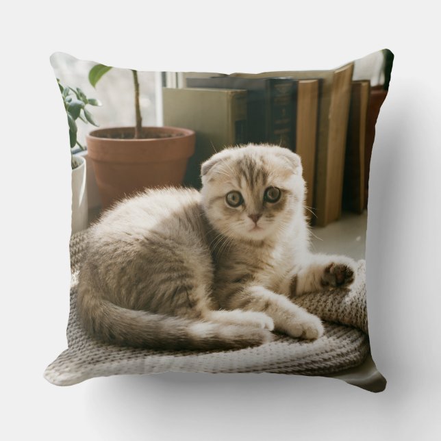 Cobertor de Almofada de Gato Scottish Fold Aconche (Frente)