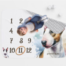 Bull Terrier Marco
