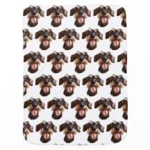Happy Wirehaired Dachshund