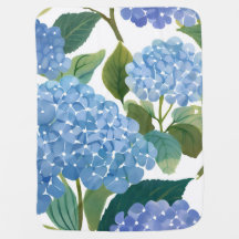 Hortênsias Azuis | Belo Arbusto Floral