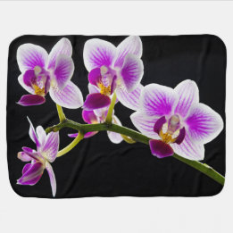 Cobertor De Bebe Orquídea branca e roxa