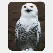 Snowy Owl bbi