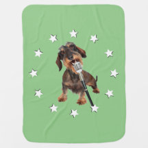 Wirehaired Dachshund Singer