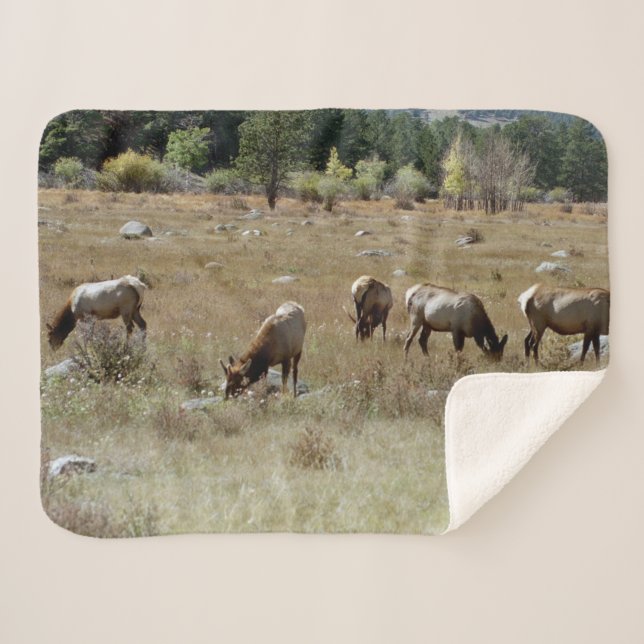 Cobertor de sherpa de alce (Frente (Horizontal))