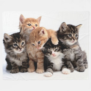 COBERTOR DE VELO 5 PEQUENAS TECLAS