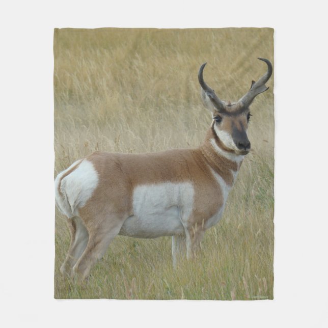 Cobertor De Velo A1 Pronghorn Antelope Big Buck (Frente)