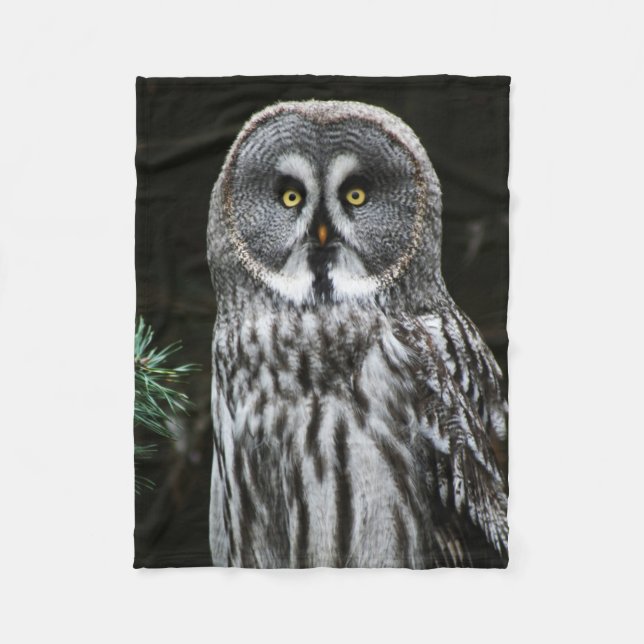 Cobertor De Velo A Cinza do Excelente fbcnm (Frente)