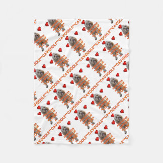 Cobertor De Velo a soletração alternativa do AMOR é CAVOODLE