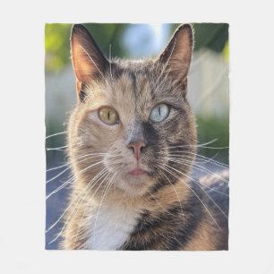 Cobertor De Velo Adicionar Foto de Gato Personalizar