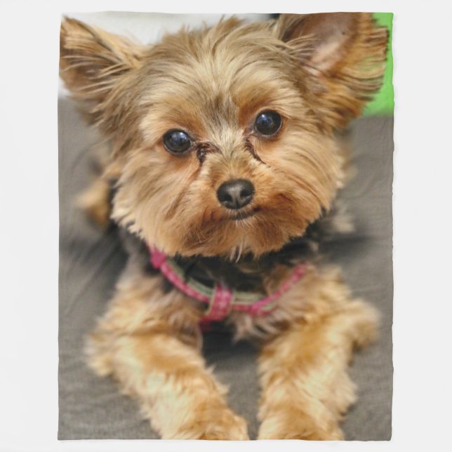 Cobertor De Velo Adorável (Frente)