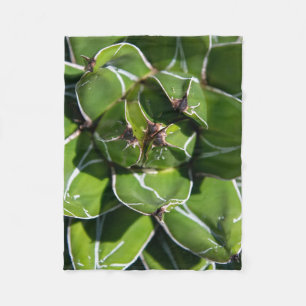 Cobertor De Velo Agave Victoria Succulent