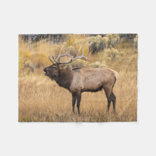 Cobertor De Velo Alce macho Parque Nacional de Yellowstone