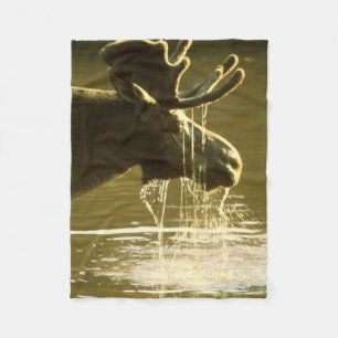 Cobertor De Velo Alces que mergulham sua cabeça na água