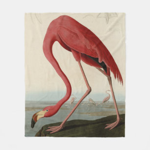 Cobertor De Velo American Flamingo, das Aves da América de Audubon