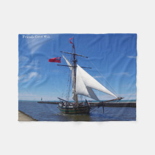 Cobertor De Velo Amigos Boa Vontade