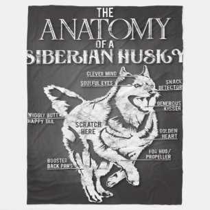 Cobertor De Velo Anatomia Siberiana Husky Cão Rouco Artístico
