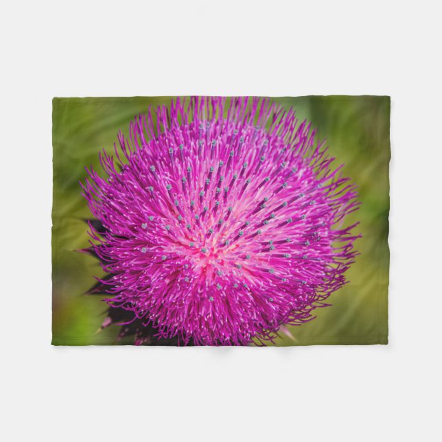 Cobertor De Velo Aperto do caroço do leite (Frente (Horizontal))