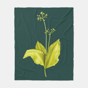 Cobertor De Velo Arte botânica da planta verde de alho selvagem