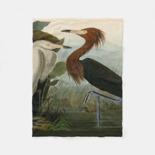 Cobertor De Velo Arte de Pássaro: Gravura do Garça Roxa de Audubon:
