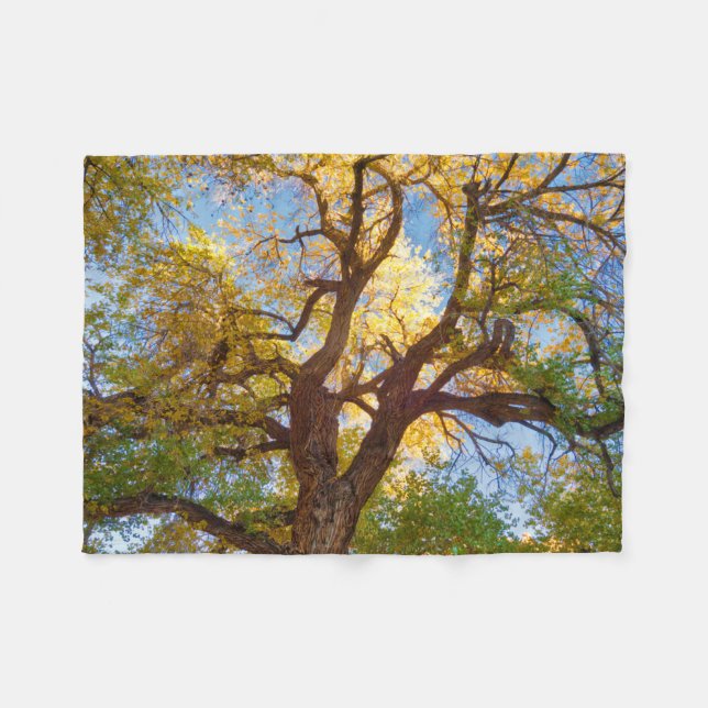 Cobertor De Velo Árvore Cottonwood | Parque Nacional Capitol Reef,  (Frente (Horizontal))