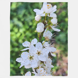 Cobertor De Velo Árvore em Flor na Primavera Romênia – Fotografia d